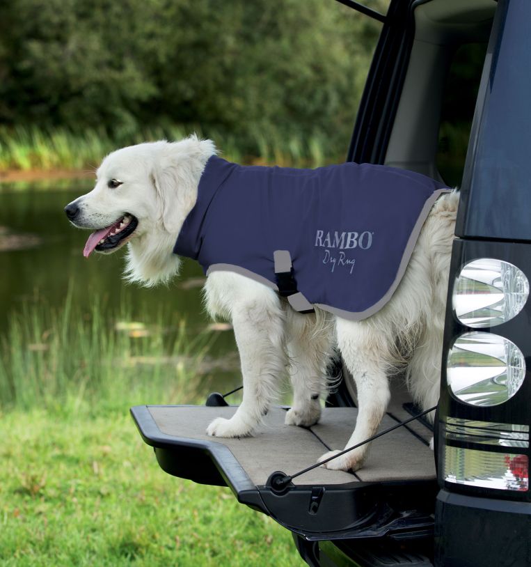 rram00-bi00-rambo-dog-dry-rug-navy_cyomqmqcn3vcvsmu