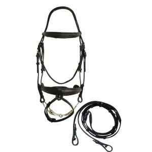 HDR Pro St. George Dressage Bridle With Reins