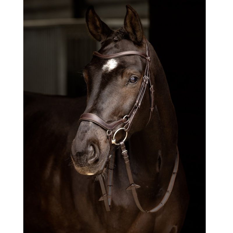 lemieux-arika-drop-bridle-brown-silver-2