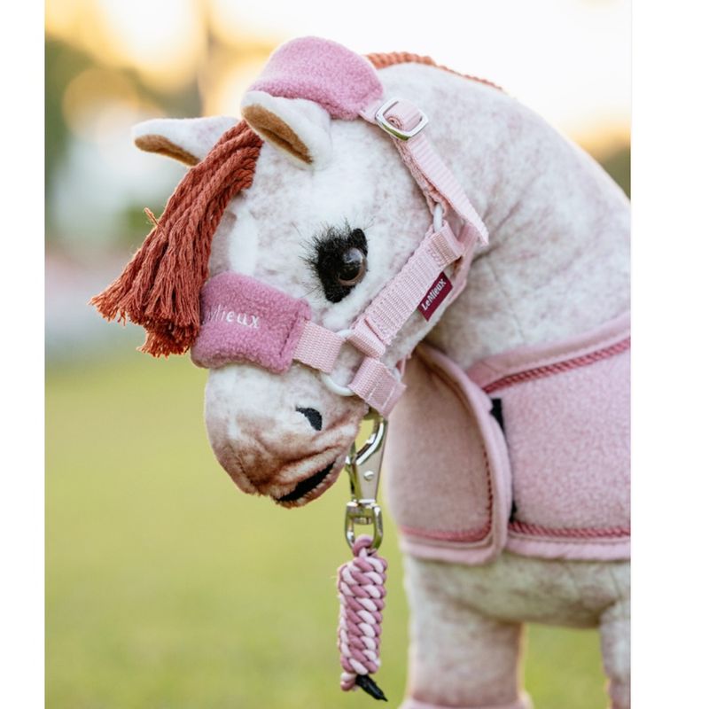 lemieux-toy-pony-headcollar-blossom-2