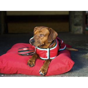 Amigo Dog Lead - Red/White/Green/Black