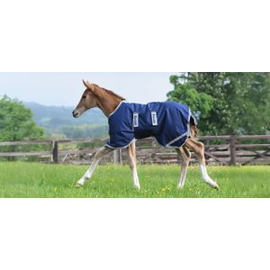 Bucas Foal Rug 50g - Navy / Silver