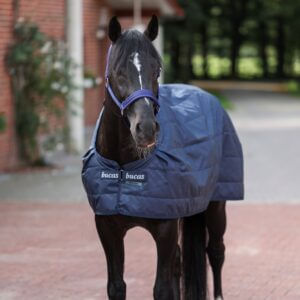 Bucas Liner 300g - Navy / Silver