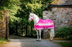 Pink-cooler1