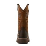 Ariat-10061120-b
