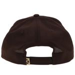 hooey-wild-ride-ball-cap-brown-tan-2