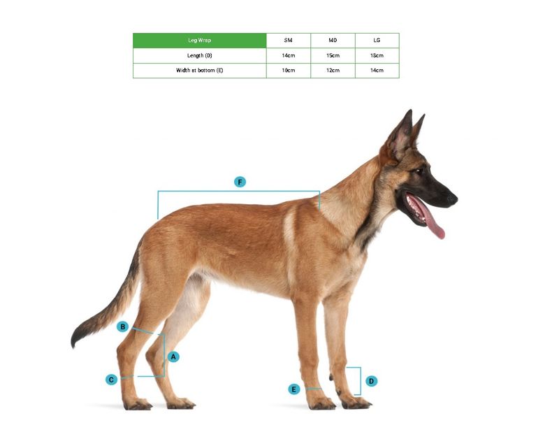back-on-track-dog-leg-wrap-size-chart