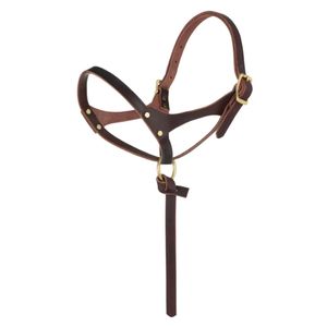 Weaver Figure 8 Suckling Foal Halter - Burgundy