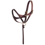 weaver-figure-8-suckling-foal-halter-burgundy-2