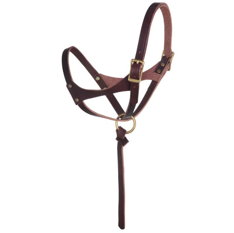 weaver-figure-8-suckling-foal-halter-burgundy-2