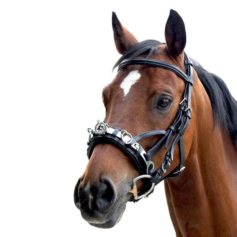 waldhausen-leather-lunging-cavesson