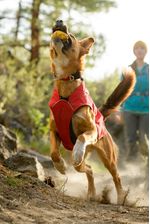Web-60401-Turnup-Dandelion-Yellow-Hiking-02__33172