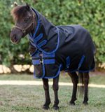 aarpt4-kdd0-amigo-ripstop-900d-plus-petite-turnout-200g-black-view-horse-1_zpwipdfxxrh3oaom
