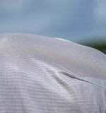 afrnxp-iji0-amigo-bug-rug-xl-plus-grey-material-detail20copy_q450bfxziecrxwad