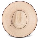 Charlie-1-Horse-CSBMDT-95508-e