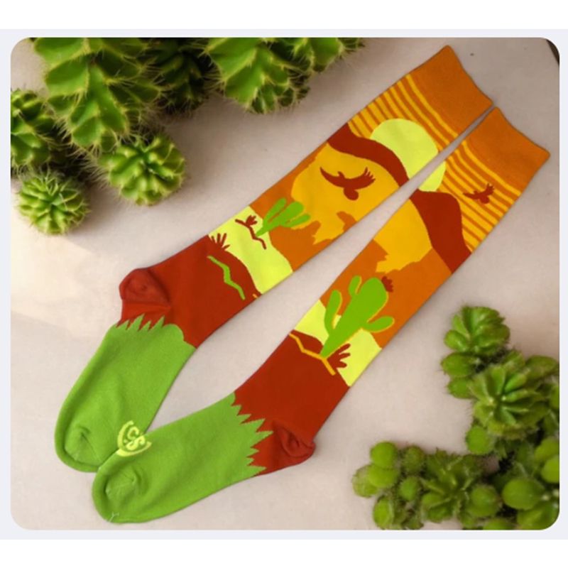 curlysox-arizona