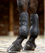LeMieux-IT063660-d