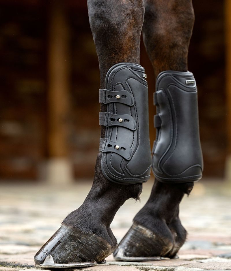 LeMieux-IT063660-d