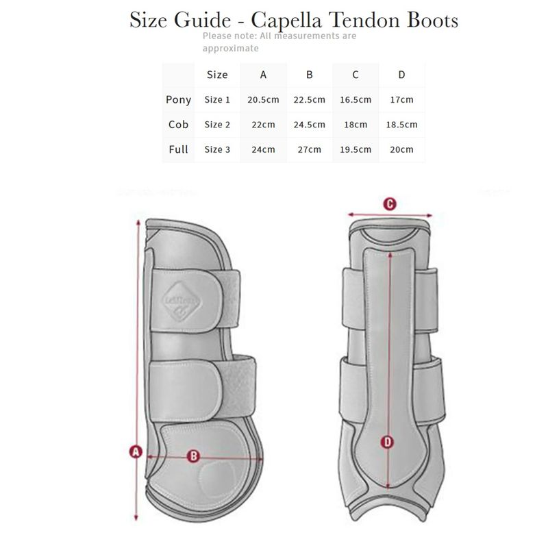 SC-LeMieux-Capella-3-Str-Tendon-Boot