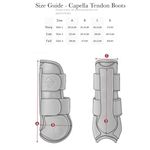 SC-LeMieux-Capella-3-Str-Tendon-Boot