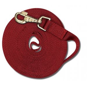Cavalier Nylon Web Lunge Line with Snap