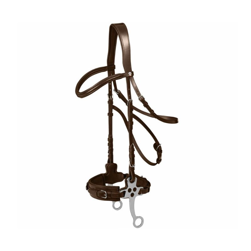 waldhausen-x-line-hackamore-with-reins-havana