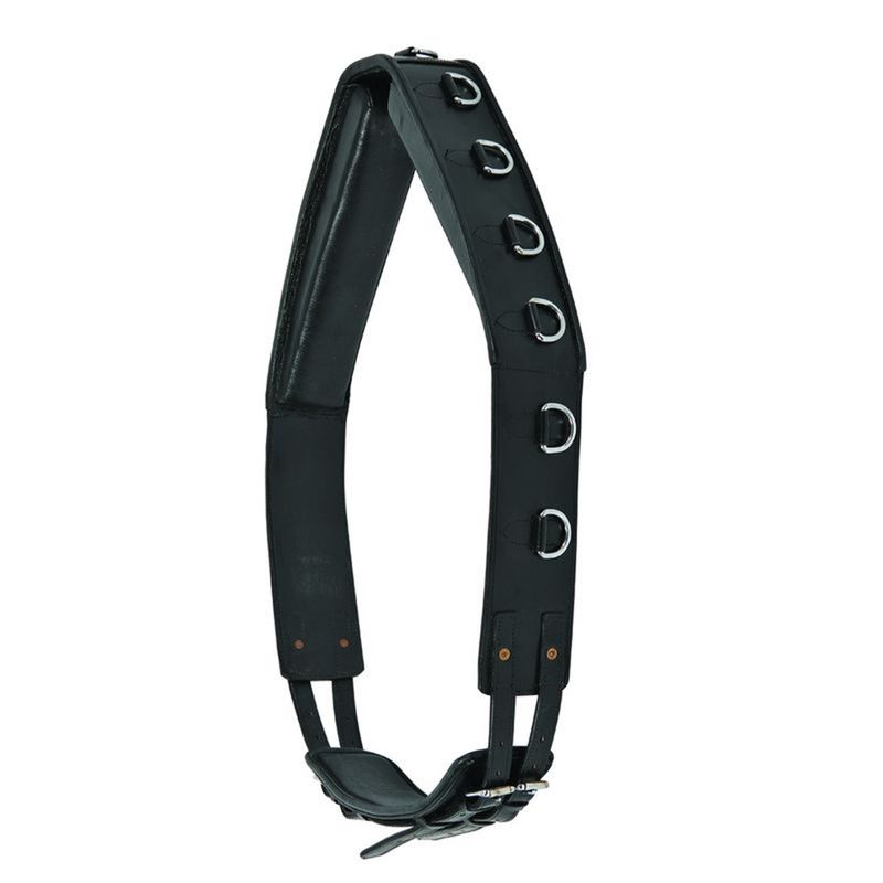 waldhausen-leather-lunging-surcingle-black