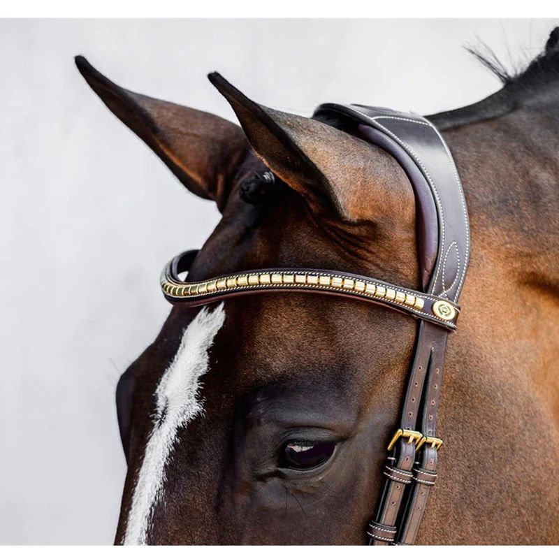 ps-of-sweden-gold-clincher-browband-brown-2