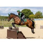 lemieux-women-s-base-layer-hunter-green-4