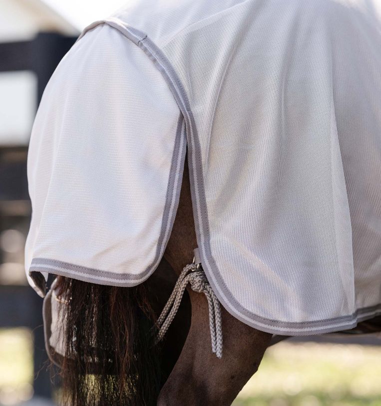 aorb60-iji0-amigo-bug-rug-plus-petite-fly-sheet-tail-strap_4qwkqqi3hx81hru1