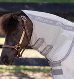 aorb60-iji0-amigo-bug-rug-plus-petite-fly-sheet-hood_rbi2mblptgtdjqji