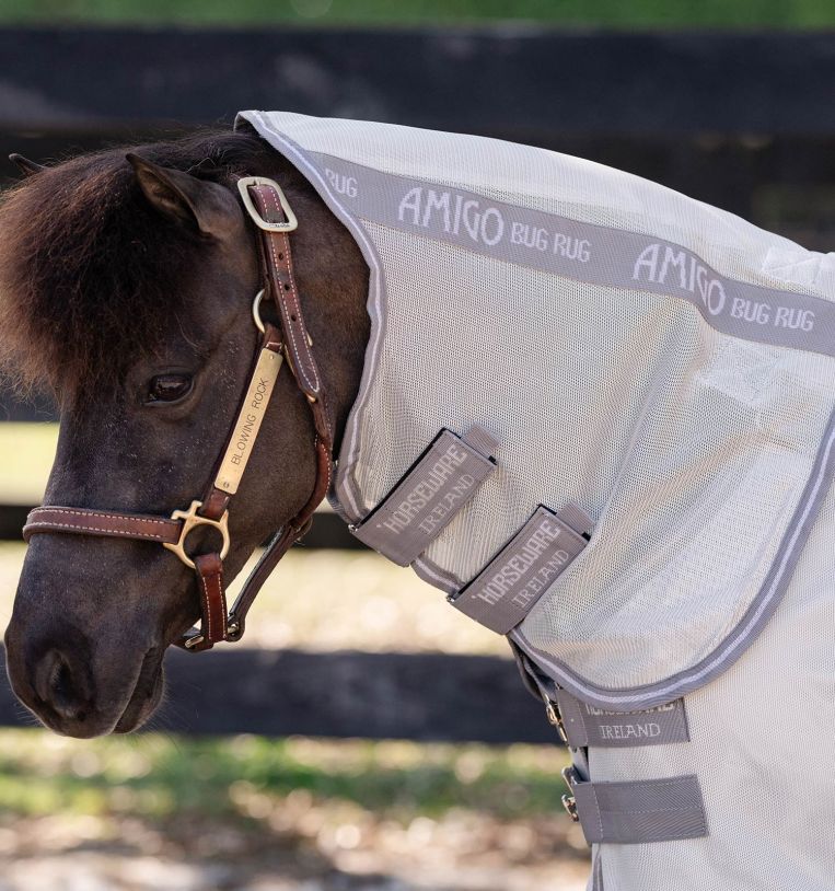 aorb60-iji0-amigo-bug-rug-plus-petite-fly-sheet-hood_rbi2mblptgtdjqji