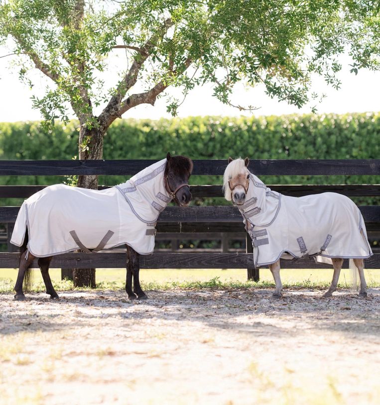 aorb60-iji0-amigo-bug-rug-plus-petite-fly-sheet-horse-v3_em52cd8ppqttzlw5