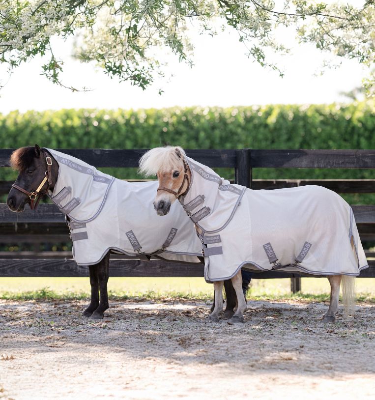 aorb60-iji0-amigo-bug-rug-plus-petite-fly-sheet-horse-v2_xmxmbw0zqlobff9c