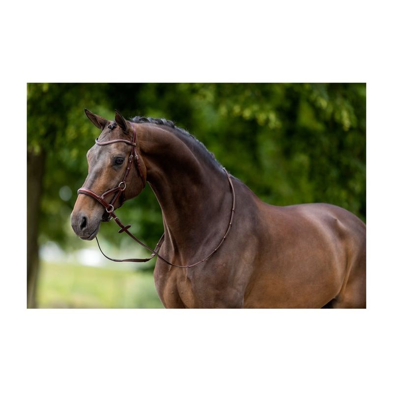 br-lewes-bridle-brown-2