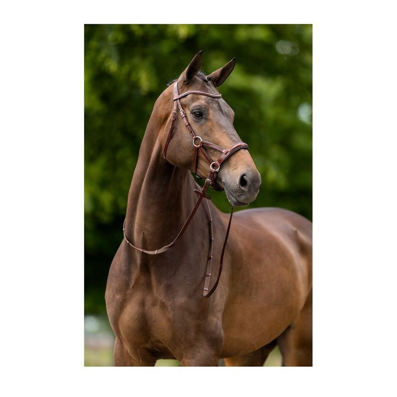 br-lewes-bridle-brown-3