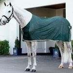 LeMieux-IT063340-a