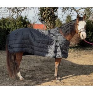 Century EquiLayer EquiBase 200 Liner - Black