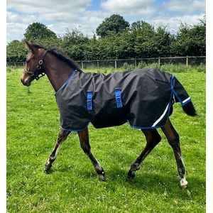 Amigo® Ripstop 900D Foal Turnout 200g - Black / Classic Blue