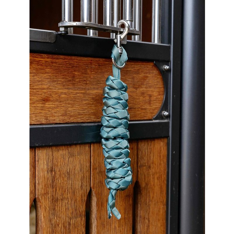 lemieux-harlequin-lead-rope-aqua-2