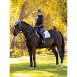 lemieux-merino-suede-cc-pad-lilac-2
