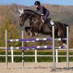 lemieux-merino-suede-cc-pad-lilac-3