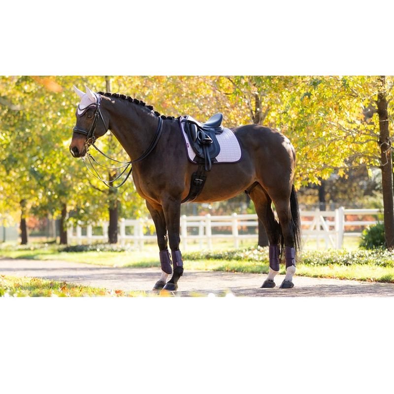 lemieux-suede-dressage-pad-lilac-2
