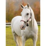 lemieux-ropella-halter-cranberry-2